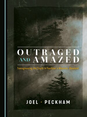 cover image of Outraged and Amazed